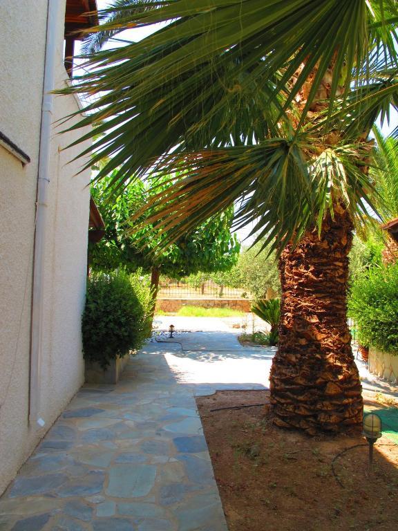 Stefanie Studios Aegina Bagian luar foto